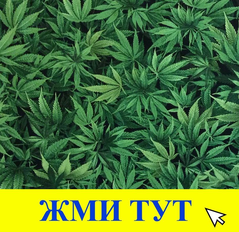 Купить наркотики в Туймазы